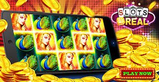 2nn bet